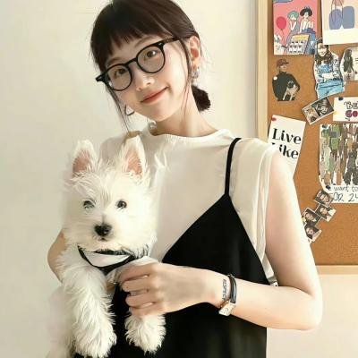 律政新人王2国语