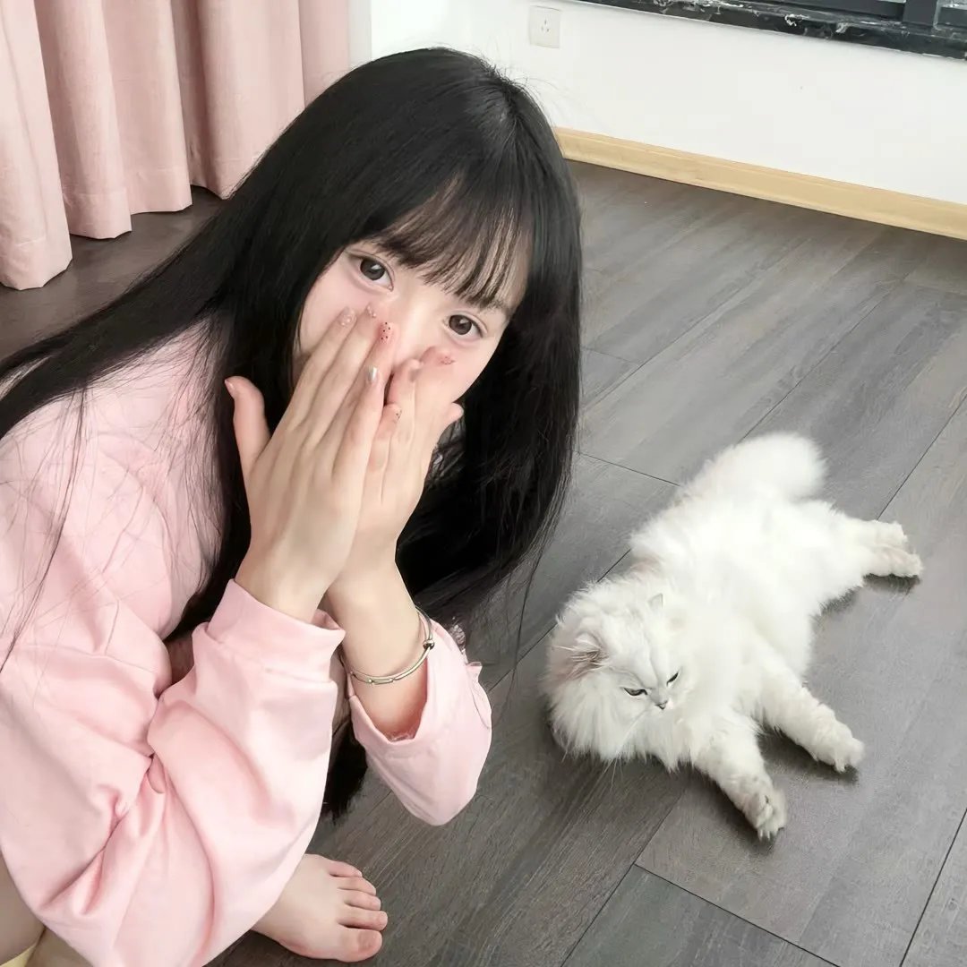 星卡梦少女1花语笔记